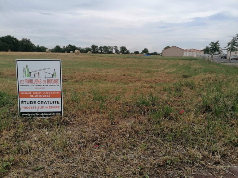 Faye labbesse Grande 768x576