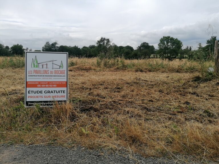 Terves Grande 768x576